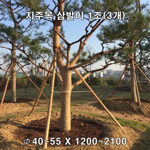 삼발이 지주목 Φ40 공식 상품 이미지