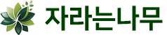 자라는나무